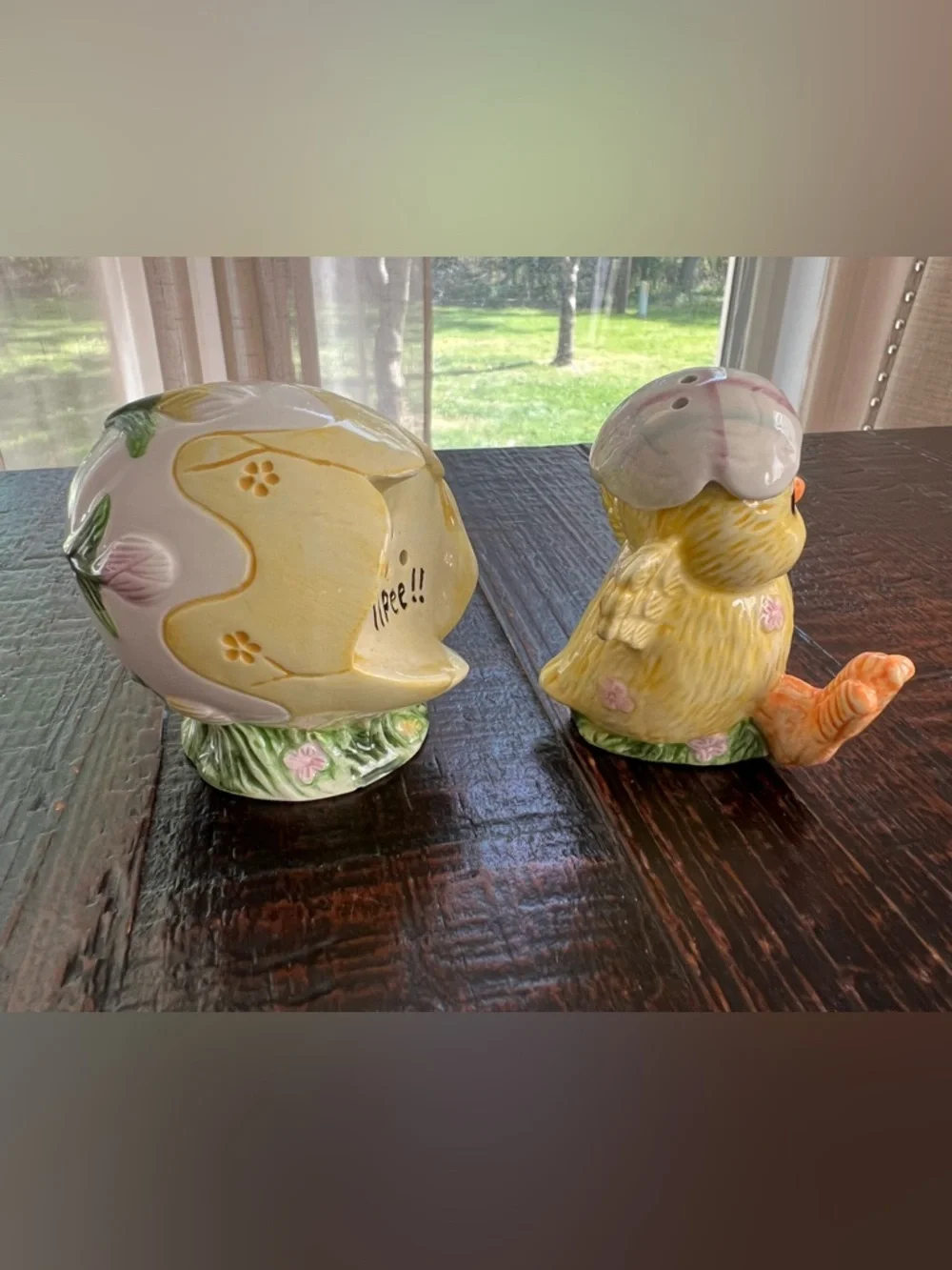 Baby Chick Egg Easter Spring Salt & Pepper Shakers Ceramic